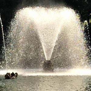 Фотография Инжектор сервис 2