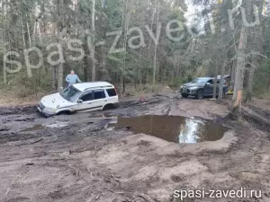 Фотография Спаси-Заведи 1